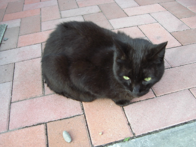 e0081334_021461.jpg