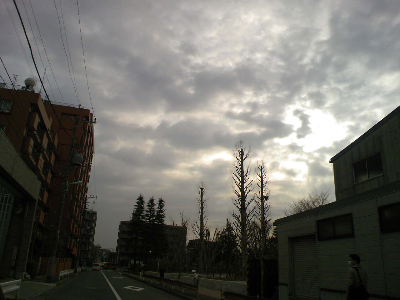 c0125637_884673.jpg