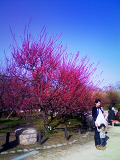 a0031338_20271434.jpg