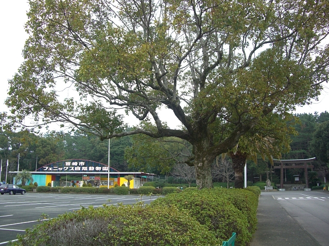 b0029438_0282055.jpg