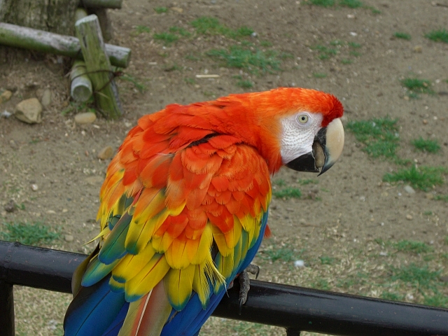 b0029438_0302965.jpg