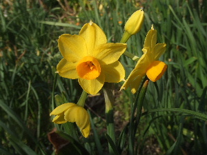 a0054240_2136546.jpg