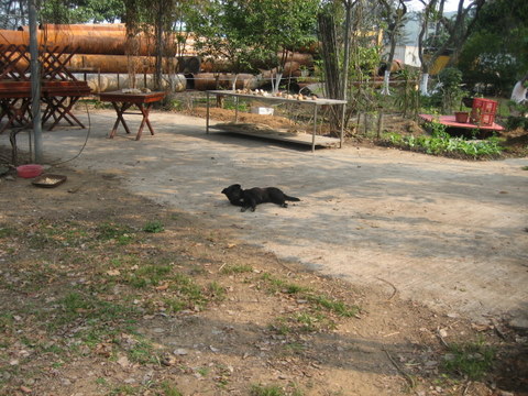 e0018143_1433166.jpg