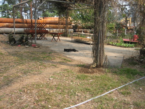 e0018143_143470.jpg