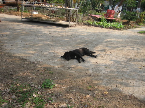 e0018143_144166.jpg