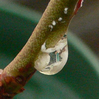 d0022845_1532158.jpg