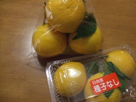 c0081552_15531710.jpg
