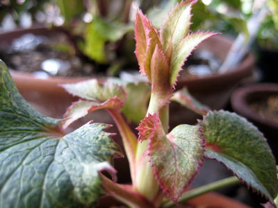 c0147952_23132846.jpg