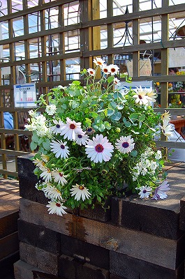 e0025655_6161170.jpg