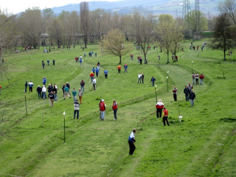 f0077159_0253823.jpg