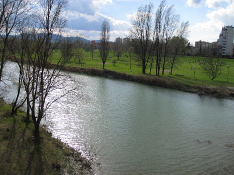 f0077159_12356.jpg