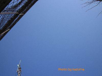 f0042571_2165168.jpg