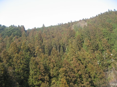 a0094675_1447756.jpg