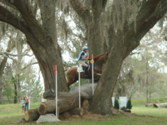 f0004775_82557.jpg