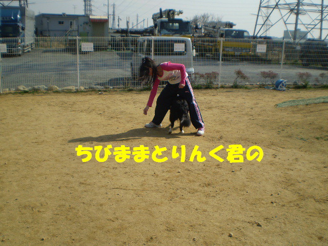 e0117976_156388.jpg