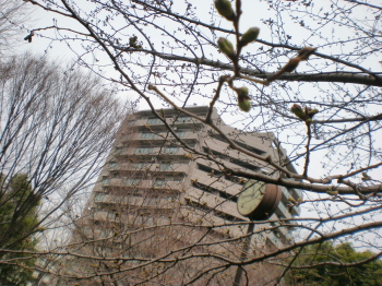 f0007580_23341944.jpg