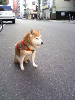c0025481_22383738.jpg