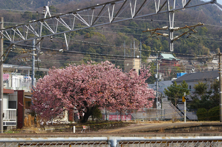c0011386_16113048.jpg