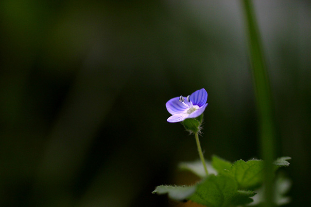 b0067789_23404797.jpg