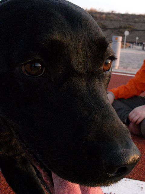 a0093592_225848.jpg
