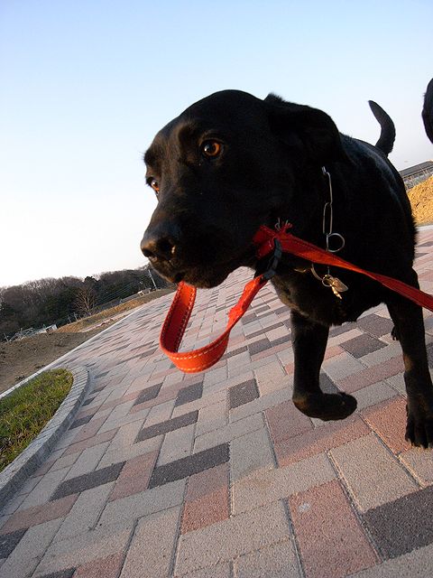 a0093592_23245918.jpg