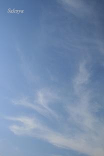 e0122194_7241291.jpg