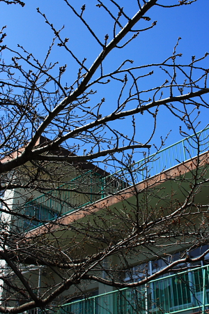 c0129498_130751.jpg
