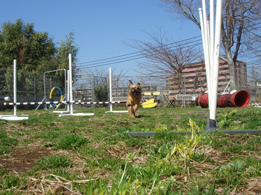 c0094999_126411.jpg