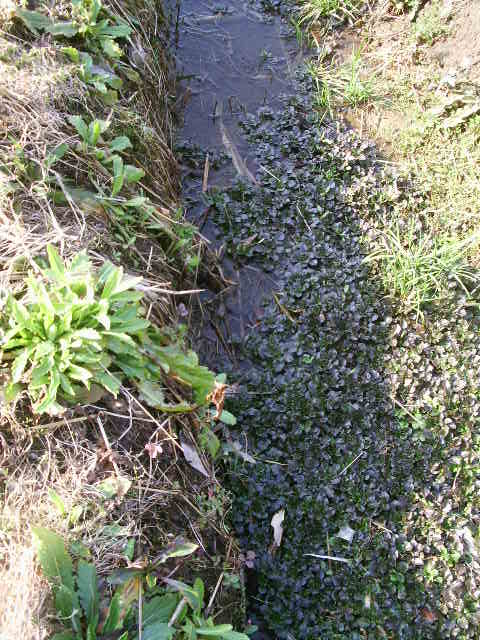 e0025300_14482432.jpg