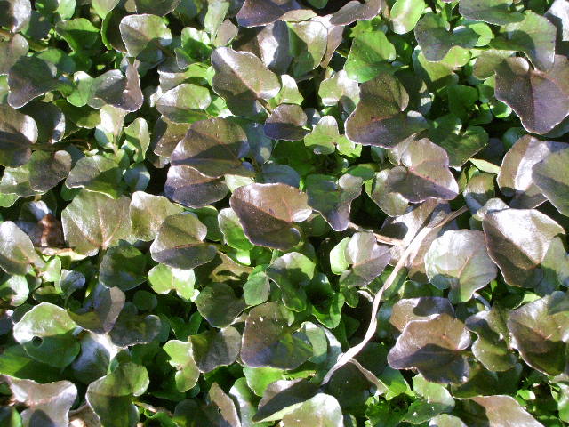 e0025300_14495147.jpg