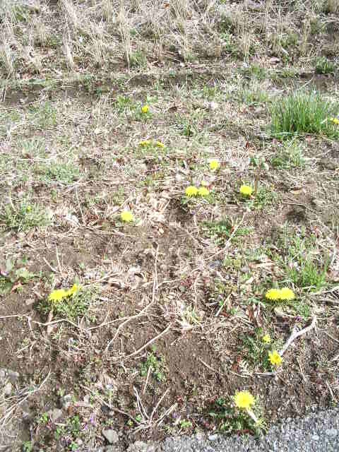 e0025300_14581131.jpg