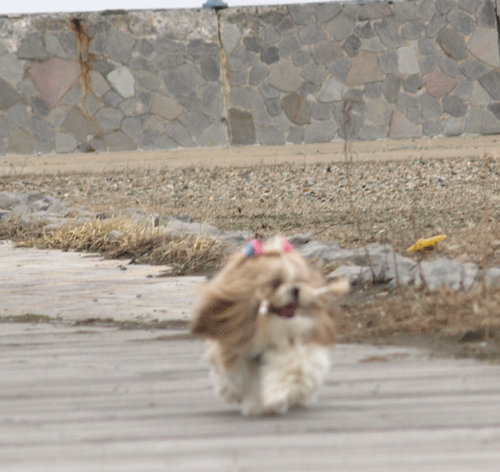 e0050801_022436.gif