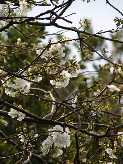 e0089001_012128.jpg