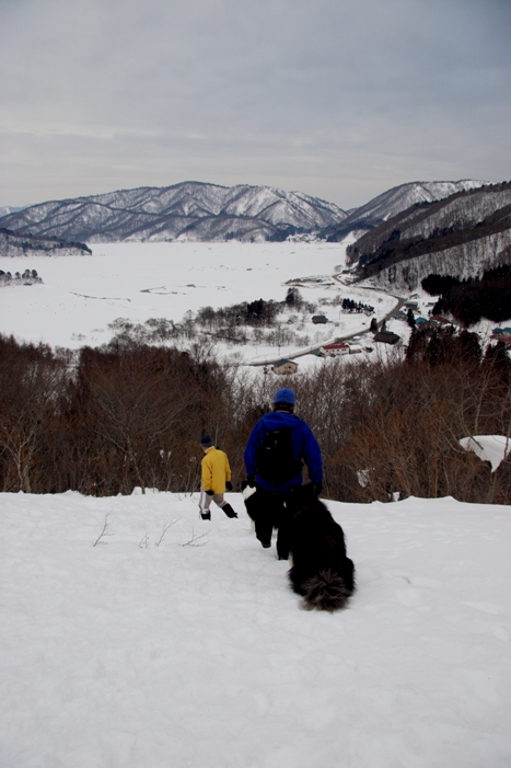 f0034602_20285217.jpg