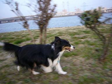 e0130008_22234828.jpg