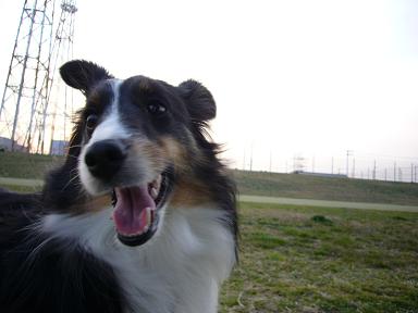e0130008_2226461.jpg