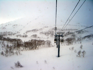 e0138611_21535617.jpg