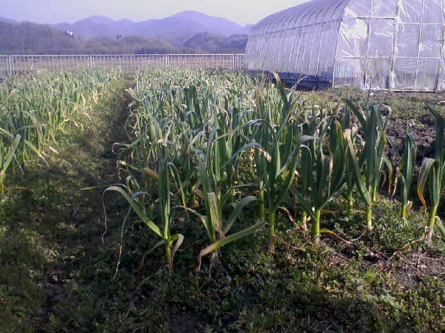 e0015915_1254114.jpg