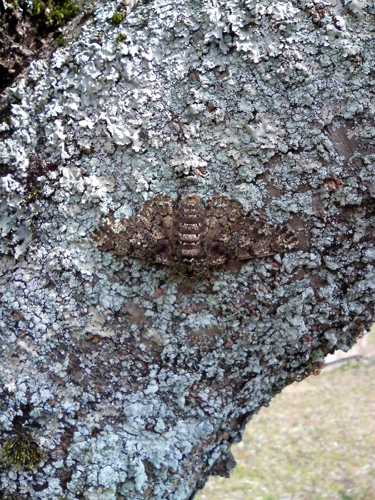 f0107315_2158716.jpg