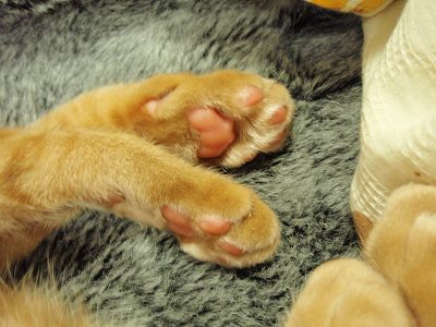 c0145016_20151519.jpg