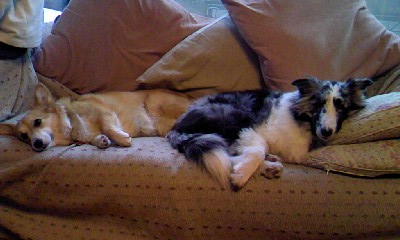 c0150520_20245627.jpg