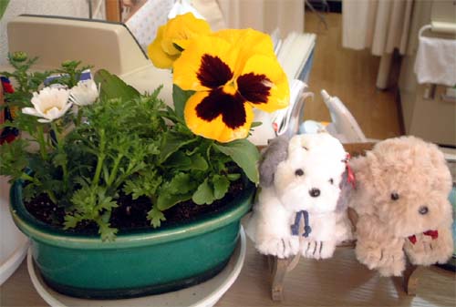 c0059521_9154611.jpg