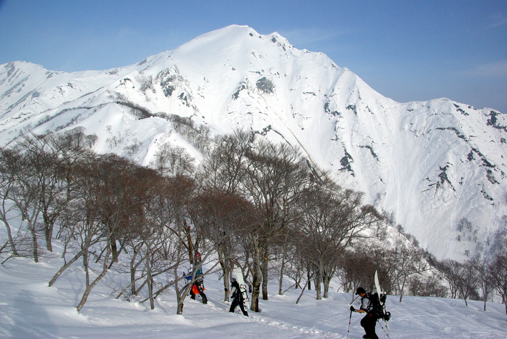 b0062024_12475.jpg