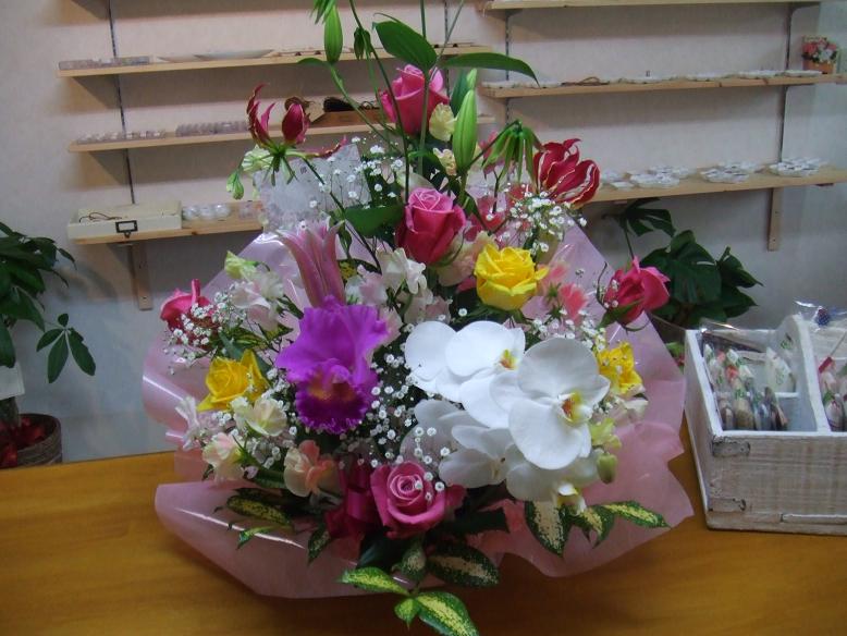 e0127924_2355390.jpg