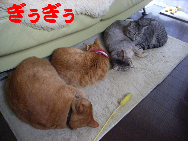 d0081025_22472776.jpg