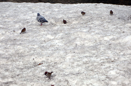 a0046429_19553778.jpg