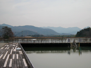 d0017632_20205053.jpg