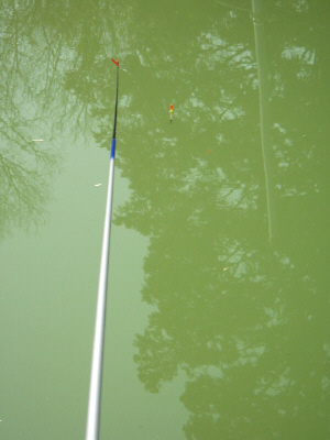 d0017632_203156100.jpg