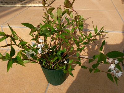 f0061334_22544862.jpg