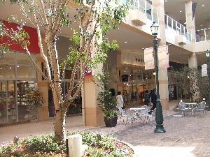 a0054240_2153302.jpg